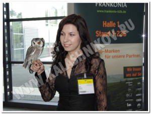 IWA_2011_38